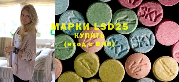 PSILOCYBIN Майский
